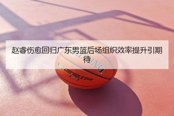赵睿伤愈回归广东男篮后场组织效率提升引期待